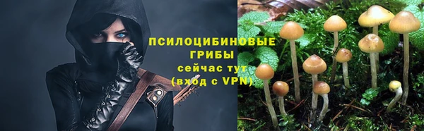 прущие крисы Алексеевка