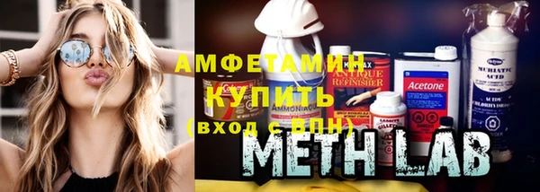крисы Алексин