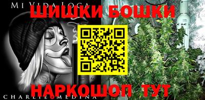 индика Назарово