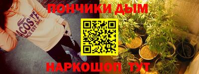 гидра Надым